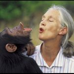 KYE-YAC Is Dr. Jane Goodall's Roots And Shoots Project Of The Month!!!